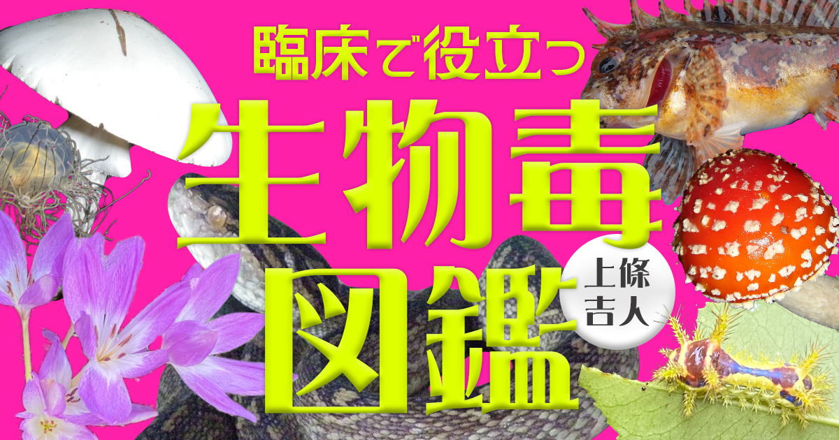 臨床で役立つ生物毒図鑑　第34回　ハブクラゲ　上條 吉人（埼玉医科大学特任教授・臨床中毒学講座 / 同大学病院臨床中毒センター長）
