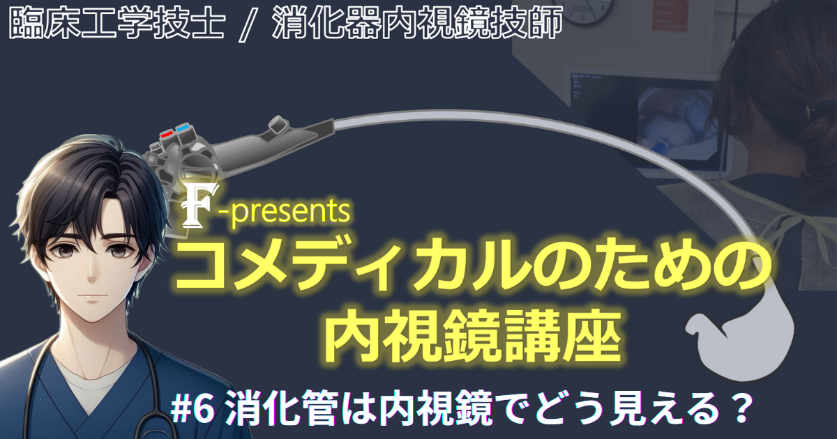 臨床工学技士/消化器内視鏡技師 F-presents コメディカルのための内視鏡講座　#5 内視鏡機器ースコープの基本構造と機能③ ～【特殊光】と【周辺機器】～