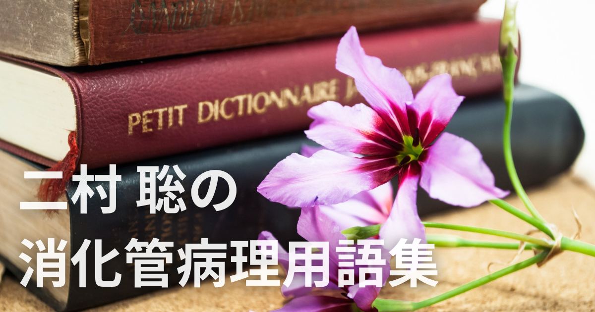 【二村 聡の消化管病理用語集】Yersinia感染症、良性リンパ濾胞性ポリープ、硬性下疳 を収載しました！ *画像をクリック→用語集「病理」よりご覧ください